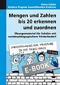 E-Book (pdf) Mengen und Zahlen bis 20 erkennen und zuordnen von Petra Schön, Andrea Pogoda Saam, Monika Konkow