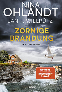 Kartonierter Einband Zornige Brandung von Nina Ohlandt, Jan F. Wielpütz