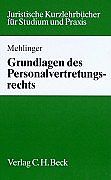 Kartonierter Einband Grundlagen des Personalvertretungsrechts von Rudolf Mehlinger