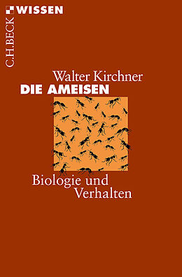Kartonierter Einband Die Ameisen von Walter Kirchner