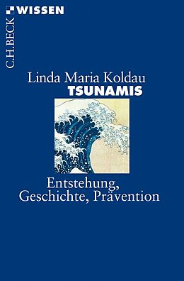 Kartonierter Einband Tsunamis von Linda Maria Koldau