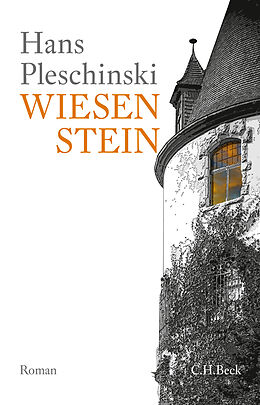 Fester Einband Wiesenstein von Hans Pleschinski