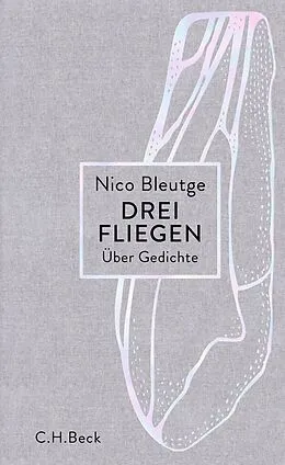 E-Book (epub) Drei Fliegen von Nico Bleutge