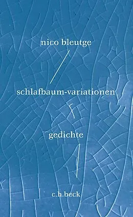 E-Book (epub) schlafbaum-variationen von Nico Bleutge