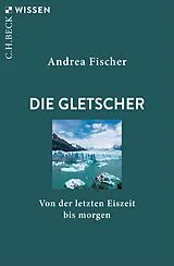 Kartonierter Einband Die Gletscher von Andrea Fischer