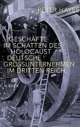 E-Book (epub) Geschäfte im Schatten des Holocaust von Peter Hayes