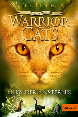 Kartonierter Einband Warrior Cats - Die Macht der Drei. Fluss der Finsternis von Erin Hunter