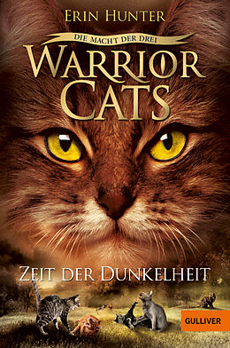 Kartonierter Einband Warrior Cats - Die Macht der drei. Zeit der Dunkelheit von Erin Hunter