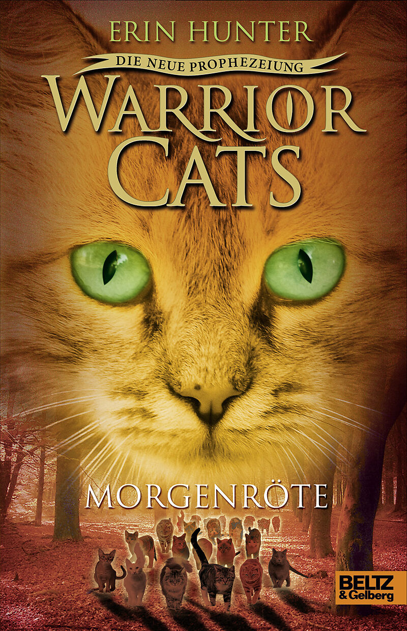 Warrior Cats Staffel 2
