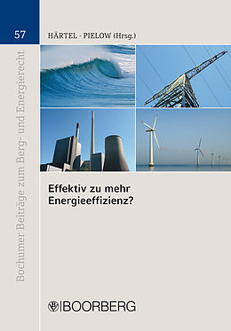 E-Book (pdf) Effektiv zu mehr Energieeffizienz? von 