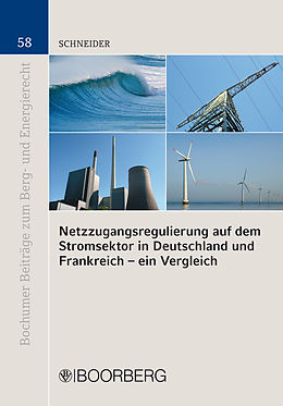 E-Book (pdf) Netzzugangsregulierung auf dem Stromsektor in Deutschland und Frankreich - ein Vergleich von Carmen Schneider