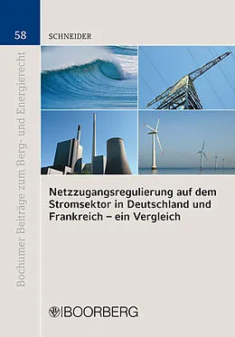 E-Book (pdf) Netzzugangsregulierung auf dem Stromsektor in Deutschland und Frankreich - ein Vergleich von Carmen Schneider