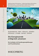 E-Book (pdf) Die Energiewende erfolgreich umsetzen von Thilo Blennemann, Harald Höflich, Till Jenssen