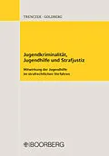 E-Book (pdf) Jugendkriminalität, Jugendhilfe und Strafjustiz von Thomas Trenczek, Brigitta Goldberg
