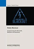 E-Book (pdf) Risiko Blackout von Florian Haacke, Christian Endreß