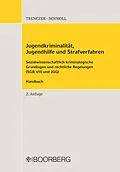 E-Book (pdf) Jugendkriminalität, Jugendhilfe und Strafverfahren von Thomas Trenczek, Annemarie Schmoll