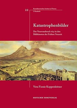 Paperback Katastrophenbilder von Vera Fionie Koppenleitner