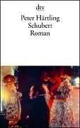 Kartonierter Einband (Kt) Schubert von Peter Härtling
