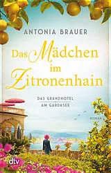 Kartonierter Einband Das Mädchen im Zitronenhain von Antonia Brauer