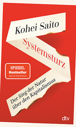 Kartonierter Einband Systemsturz von Kohei Saito