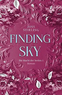 E-Book (epub) Finding Sky Die Macht der Seelen von Joss Stirling