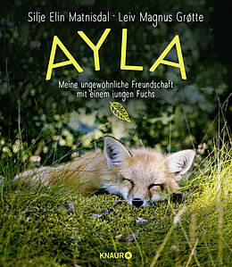 Fester Einband Ayla - meine ungewöhnliche Freundschaft mit einem jungen Fuchs von Silje Elin Matnisdal, Leiv Magnus Grøtte
