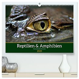 Kalender (Kal) Reptilien &amp; Amphibien Portraits (hochwertiger Premium Wandkalender 2025 DIN A2 quer), Kunstdruck in Hochglanz von Klaus Vartzbed