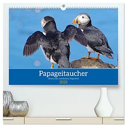 Kalender (Kal) Papageitaucher - Clowns der nordischen Vogelwelt (hochwertiger Premium Wandkalender 2025 DIN A2 quer), Kunstdruck in Hochglanz von Reinhard Pantke