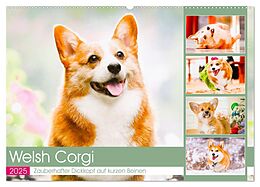 Kalender (Kal) Welsh Corgi. Zauberhafter Dickkopf auf kurzen Beinen (Wandkalender 2025 DIN A2 quer), CALVENDO Monatskalender von Rose Hurley