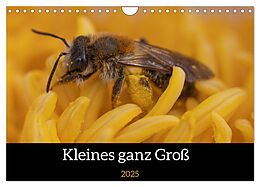 Kalender (Kal) Kleines ganz Groß (Wandkalender 2025 DIN A4 quer), CALVENDO Monatskalender von Nikolai Röttger