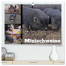 Kalender (Kal) Faszination Minischweine (hochwertiger Premium Wandkalender 2025 DIN A2 quer), Kunstdruck in Hochglanz von Babett Paul - Babetts Bildergalerie