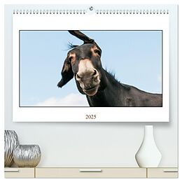 Kalender (Kal) Esel Lebensfreude - Spaß mit Langohren (hochwertiger Premium Wandkalender 2025 DIN A2 quer), Kunstdruck in Hochglanz von Meike Bölts