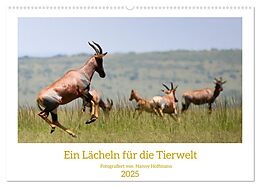 Kalender (Kal) Ein Lächeln für die Tierwelt (Wandkalender 2025 DIN A2 quer), CALVENDO Monatskalender von Nanny Hoffmann