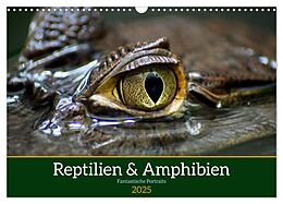 Kalender (Kal) Reptilien &amp; Amphibien Portraits (Wandkalender 2025 DIN A3 quer), CALVENDO Monatskalender von Klaus Vartzbed