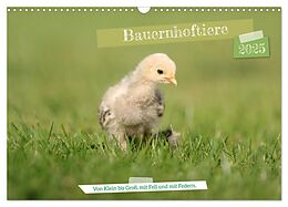 Kalender (Kal) Bauernhoftiere - Von Klein bis Groß, mit Fell und mit Federn. (Wandkalender 2025 DIN A3 quer), CALVENDO Monatskalender von Angela Merk