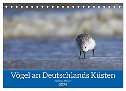 Kalender (Kal) Vögel an Deutschlands Küsten (Tischkalender 2025 DIN A5 quer), CALVENDO Monatskalender von Angelika Meister