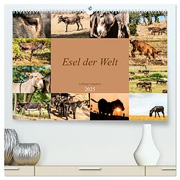 Kalender Esel der Welt - Lieblings Langohren (hochwertiger Premium Wandkalender 2025 DIN A2 quer), Kunstdruck in Hochglanz von Meike Bölts