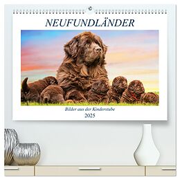 Kalender (Kal) Neufundländer - Bilder aus der Kinderstube (hochwertiger Premium Wandkalender 2025 DIN A2 quer), Kunstdruck in Hochglanz von Sigrid Starick
