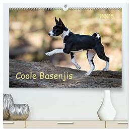 Kalender (Kal) Coole Basenjis (hochwertiger Premium Wandkalender 2025 DIN A2 quer), Kunstdruck in Hochglanz von Angelika Joswig