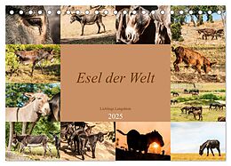Kalender Esel der Welt - Lieblings Langohren (Tischkalender 2025 DIN A5 quer), CALVENDO Monatskalender von Meike Bölts