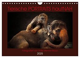 Kalender (Kal) Tierische PORTRAITS hautNAH (Wandkalender 2025 DIN A4 quer), CALVENDO Monatskalender von Antje Wenner-Braun