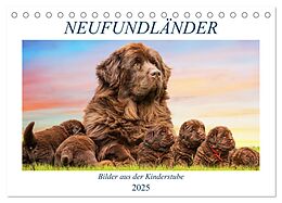 Kalender (Kal) Neufundländer - Bilder aus der Kinderstube (Tischkalender 2025 DIN A5 quer), CALVENDO Monatskalender von Sigrid Starick