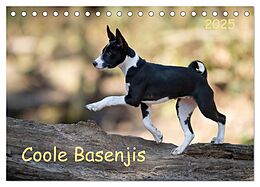 Kalender (Kal) Coole Basenjis (Tischkalender 2025 DIN A5 quer), CALVENDO Monatskalender von Angelika Joswig