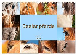 Kalender (Kal) Seelenpferde - Augenblicke (Wandkalender 2025 DIN A3 quer), CALVENDO Monatskalender von Meike Bölts