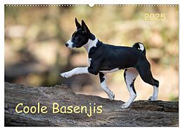 Kalender (Kal) Coole Basenjis (Wandkalender 2025 DIN A2 quer), CALVENDO Monatskalender von Angelika Joswig