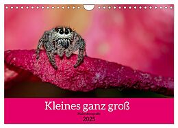 Kalender (Kal) Kleines ganz groß - Makrofotografie (Wandkalender 2025 DIN A4 quer), CALVENDO Monatskalender von Ellen Lichtenheldt
