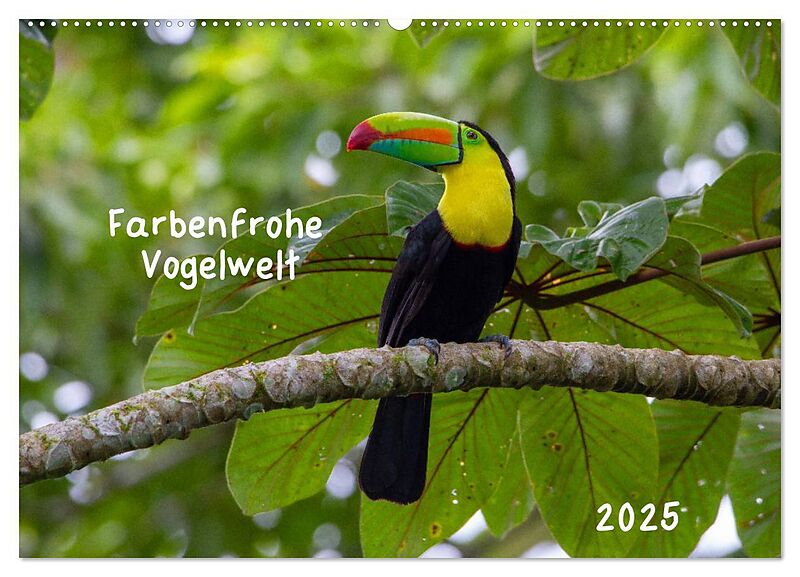 Farbenfrohe Vogelwelt (Wandkalender 2025 DIN A2 quer), CALVENDO Monatskalender