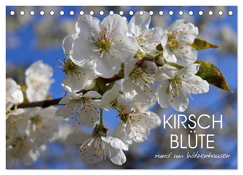 Kirschblüte rund um Witzenhausen (Tischkalender 2025 DIN A5 quer), CALVENDO Monatskalender