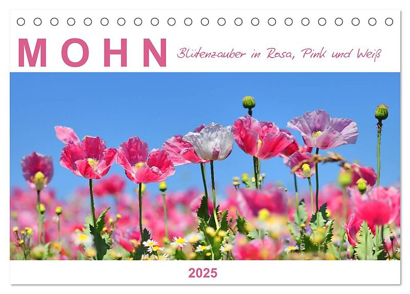Mohn, Blütenzauber in Rosa, Pink und Weiß (Tischkalender 2025 DIN A5 quer), CALVENDO Monatskalender