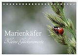 Kalender Marienkäfer - kleine Glücksmomente (Tischkalender 2025 DIN A5 quer), CALVENDO Monatskalender von Karin Dederichs